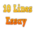 10-Lines-Essay